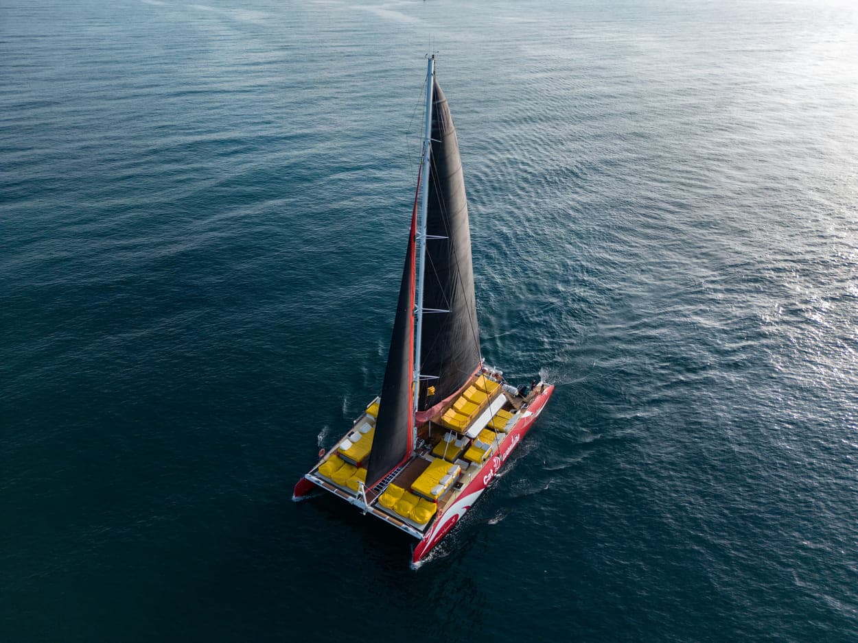 Catamarán de vela negra navegando en calma con luz dorada de atardecer