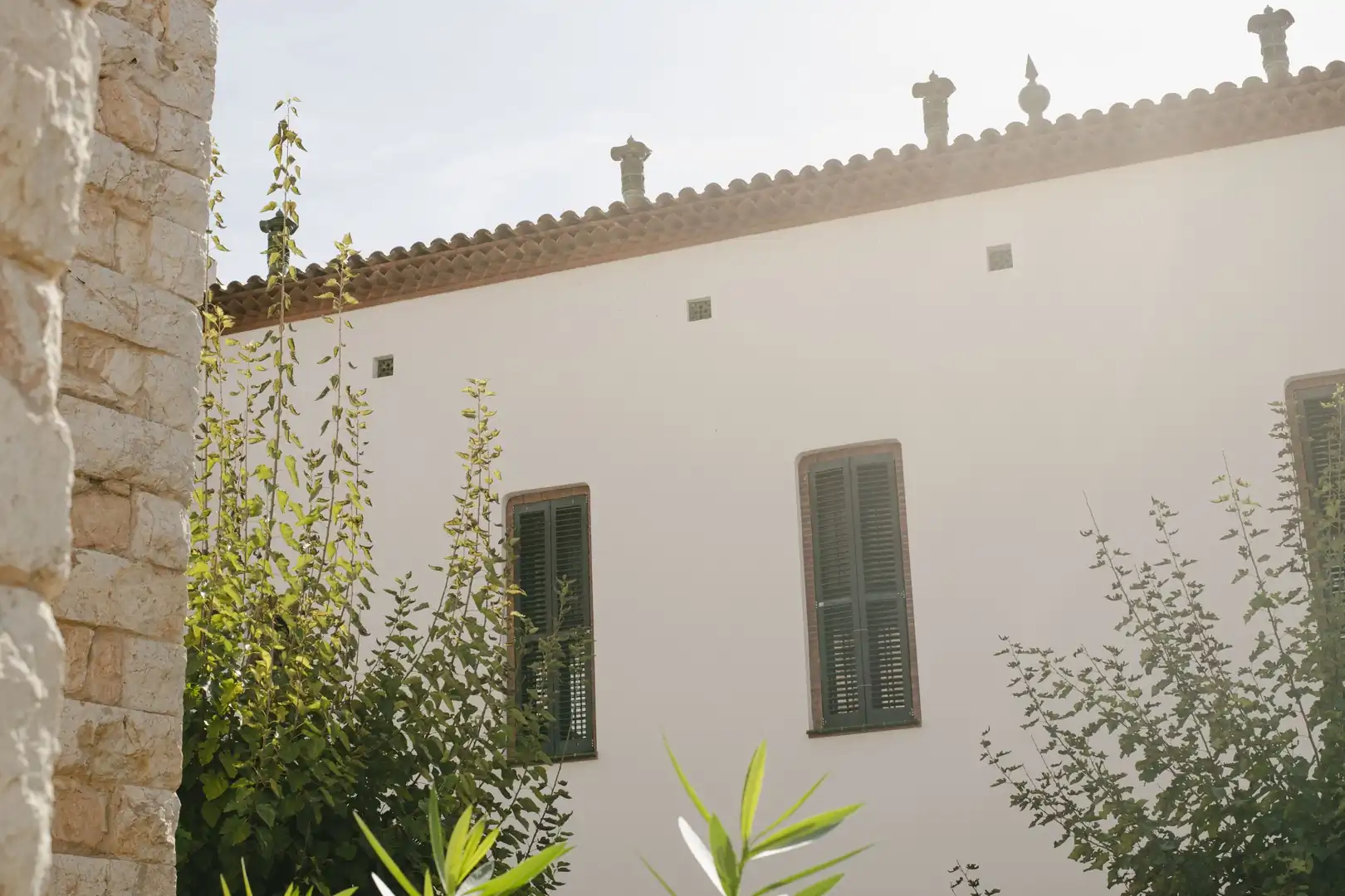 Excursion Paella Malvasia - imagen 3