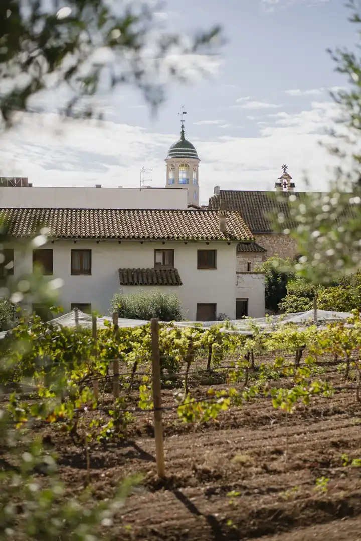 Excursion Paella Malvasia - imagen 7