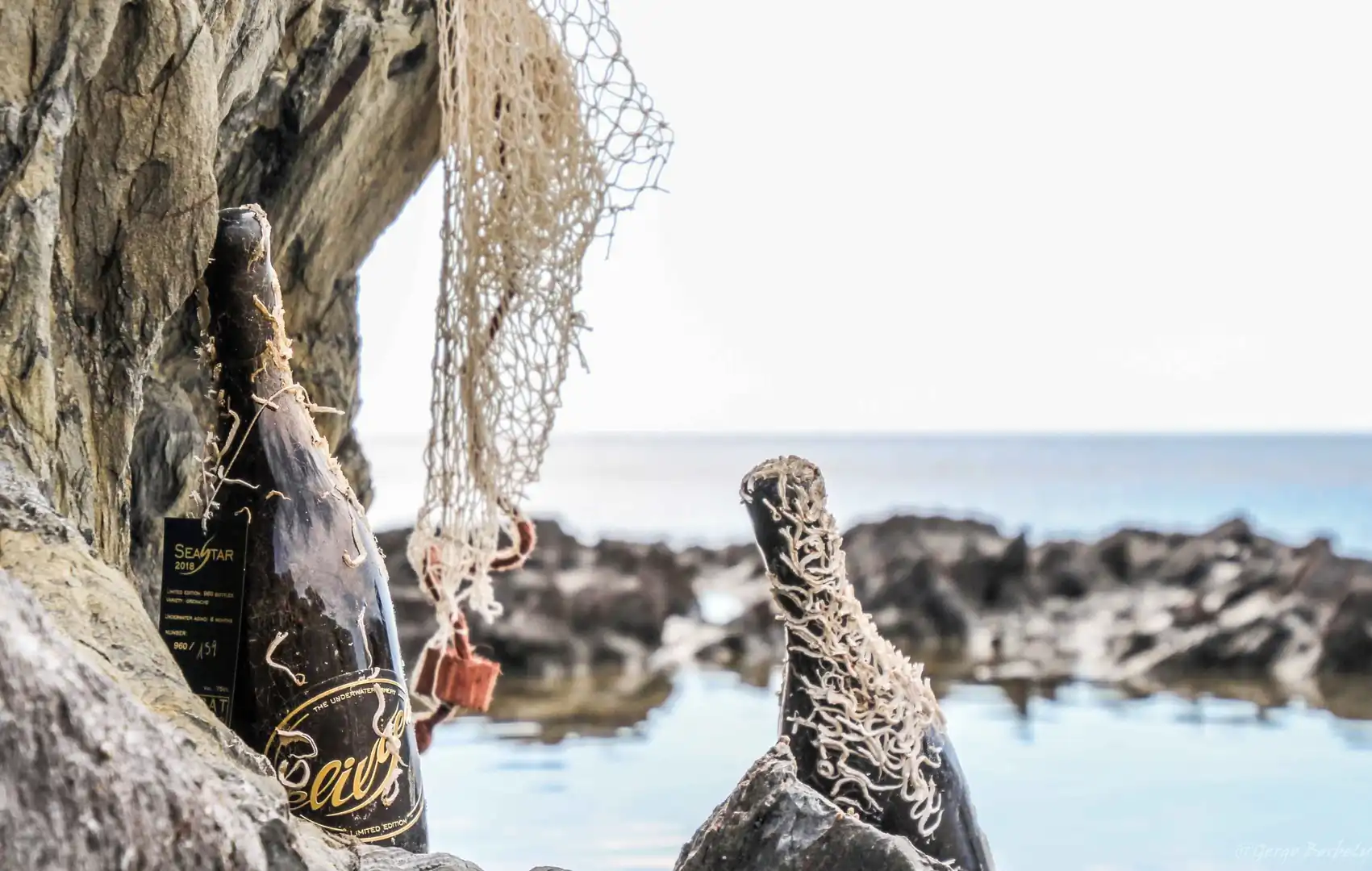 Teambuilding Vino en Barcelona - Aria.Image 6