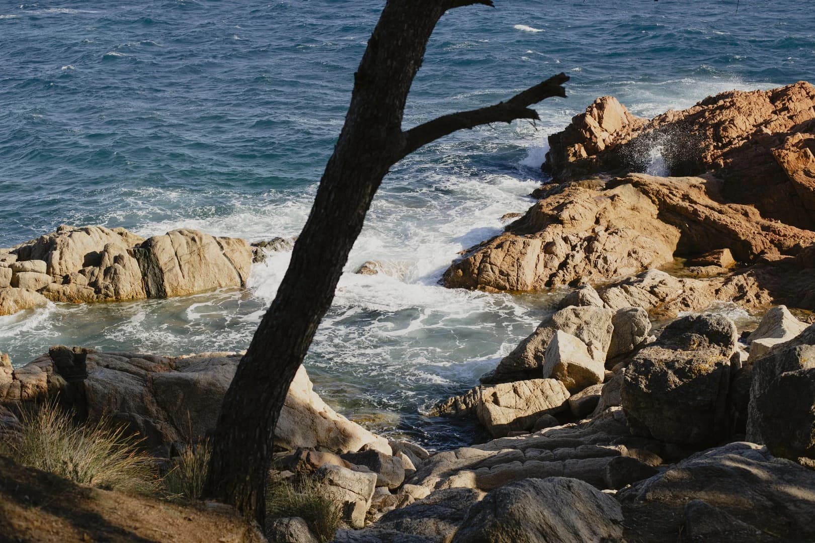 Tour En Barco A Costa Brava Desde Barcelona - Aria.Image 5